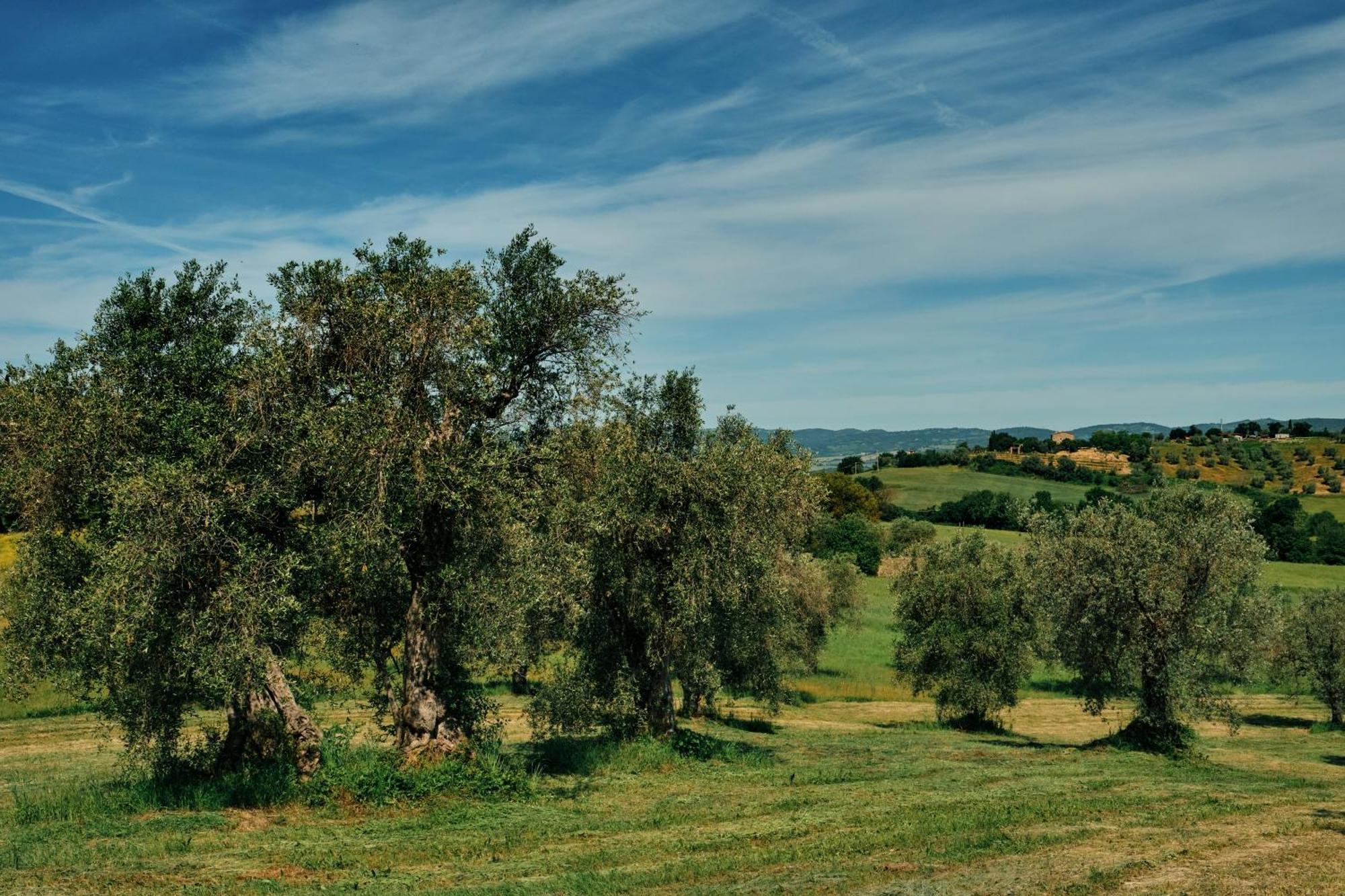 8380 Agriturismo Il Saragiolo Manciano Buitenkant foto