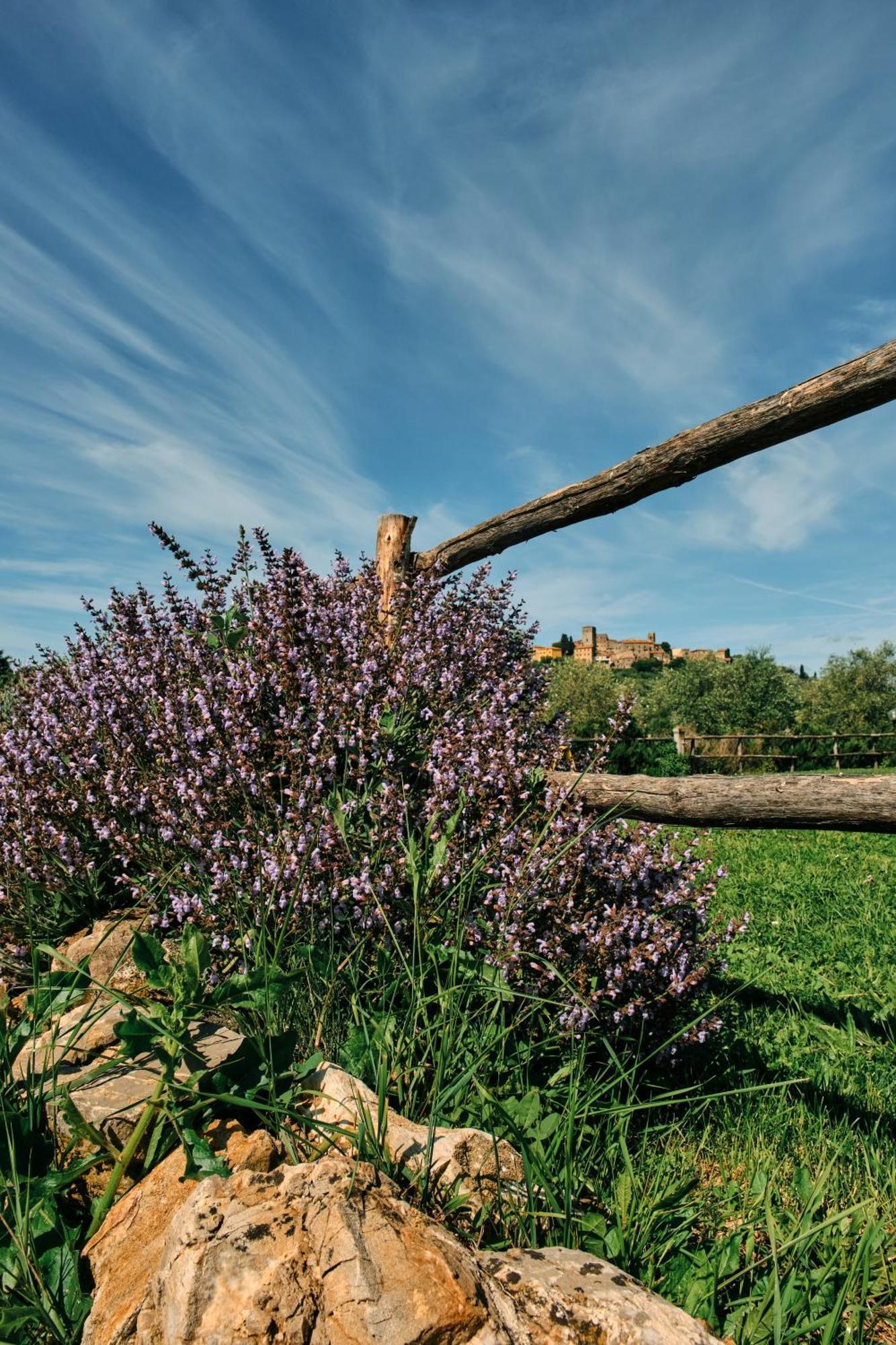 8380 Agriturismo Il Saragiolo Manciano Buitenkant foto